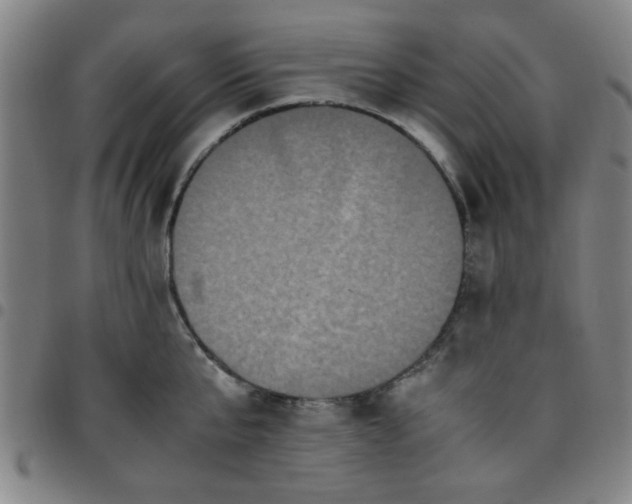 X0000097460807200803071630