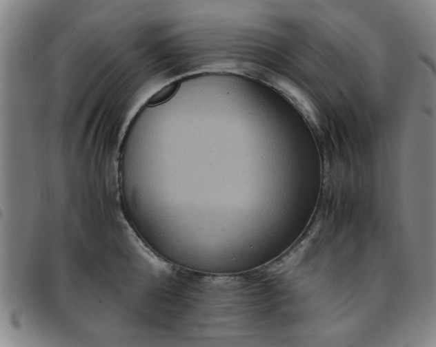 X0000097460808200803071630