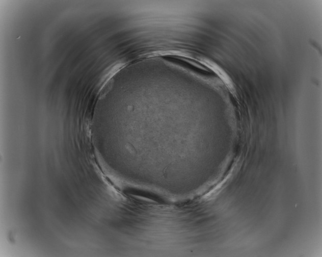 X0000097460809200803071630