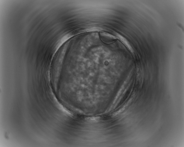 X0000097460810200803071630