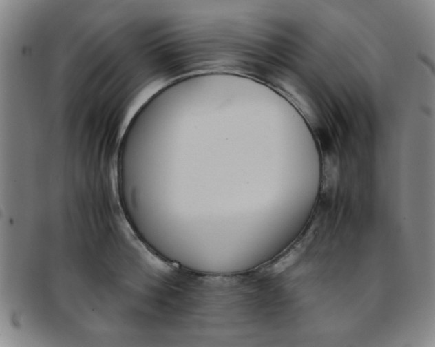 X0000097460812200803071630