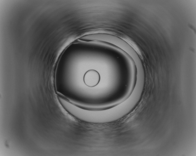 X0000097460813200803071630