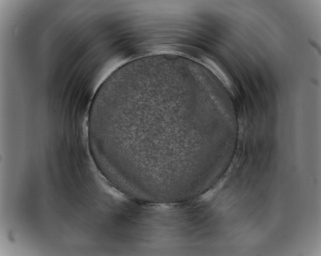 X0000097460814200803071630