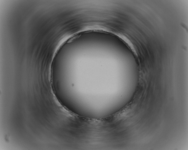 X0000097460815200803071630