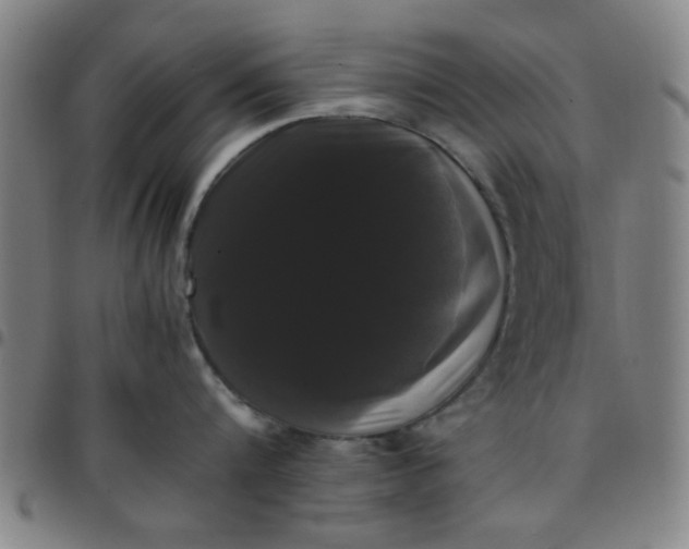 X0000097460816200803071630