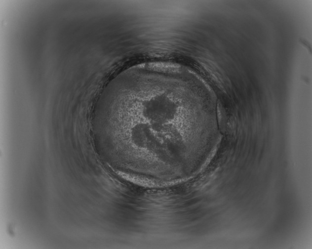 X0000097460817200803071629