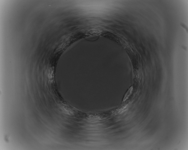 X0000097460818200803071629