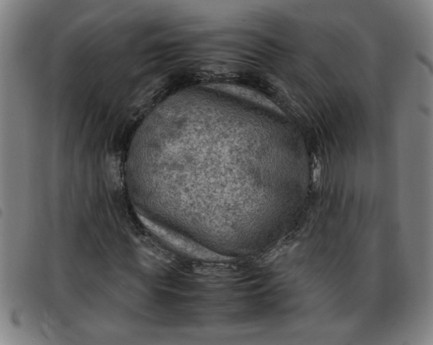 X0000097460819200803071629