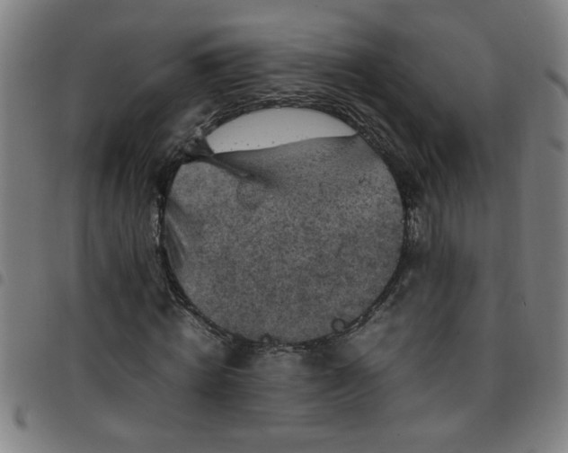 X0000097460820200803071629