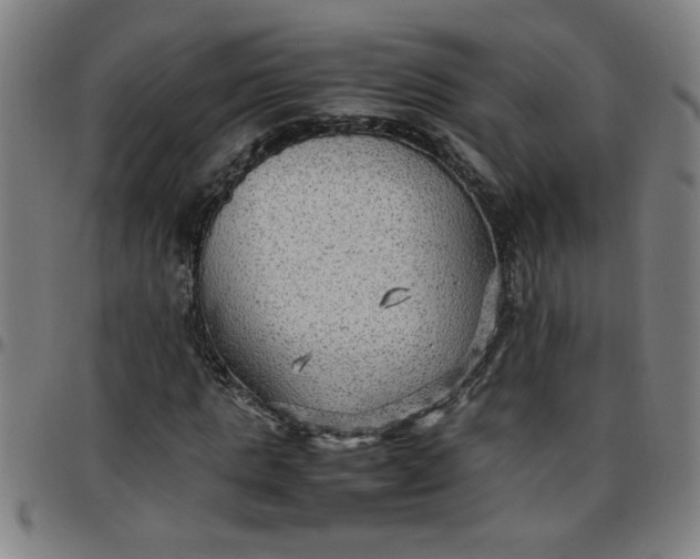 X0000097460821200803071629