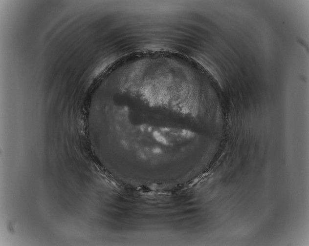 X0000097460823200803071629