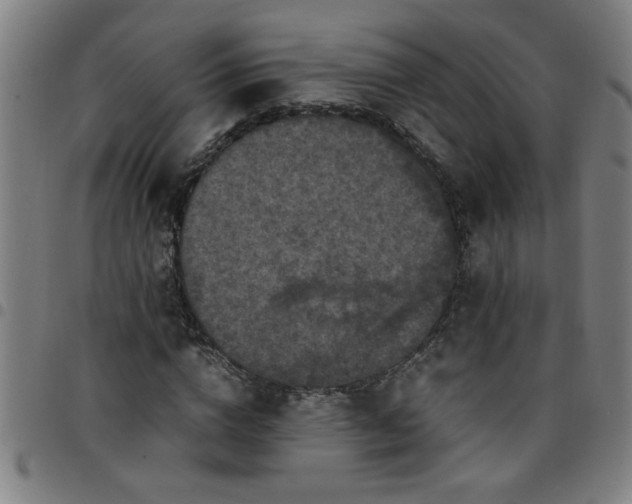 X0000097460824200803071629