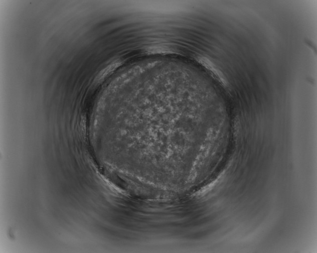 X0000097460825200803071629