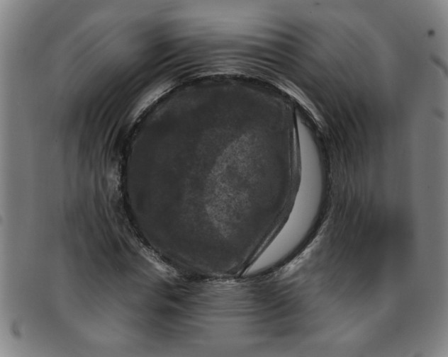 X0000097460826200803071629