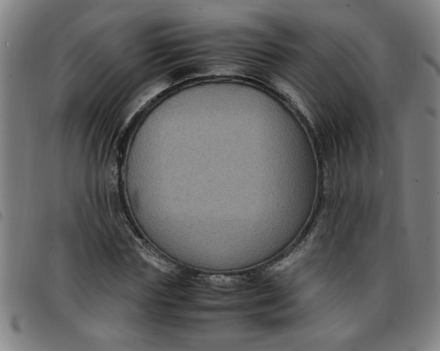 X0000097460827200803071629