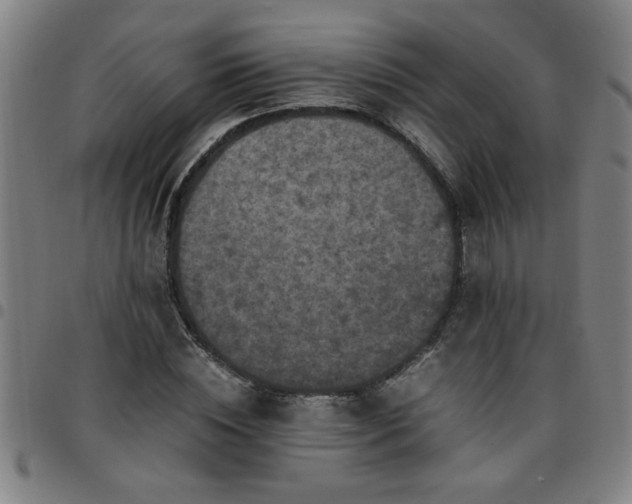 X0000097460828200803071629