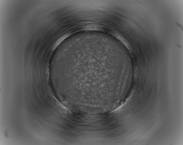 X0000097460829200803071629