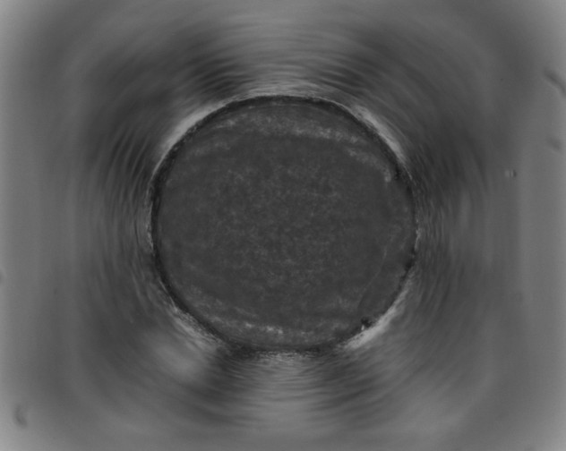 X0000097460830200803071629