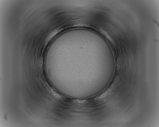 X0000097460831200803071629