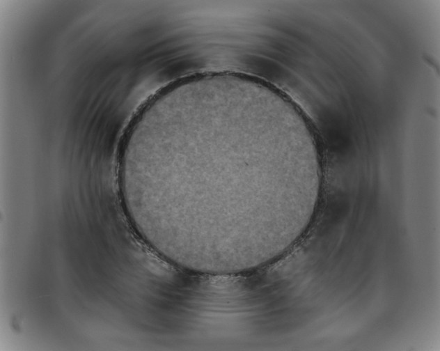 X0000097460832200803071629