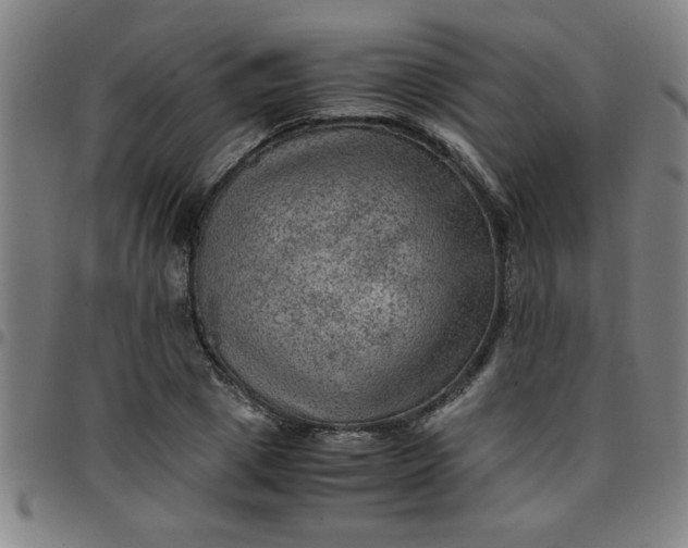 X0000097460833200803071629