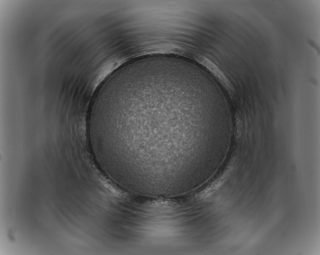 X0000097460834200803071629