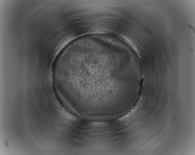 X0000097460835200803071629