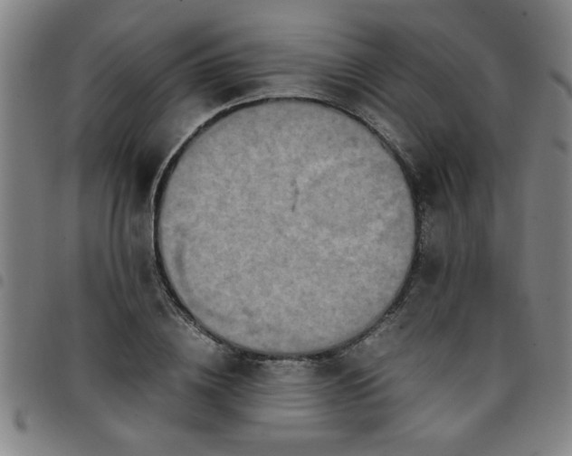 X0000097460836200803071629