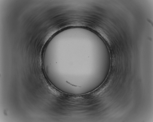 X0000097460837200803071629