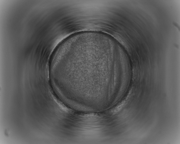 X0000097460838200803071629