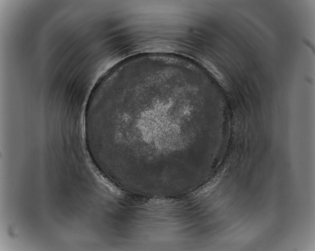 X0000097460840200803071629