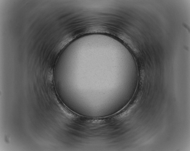 X0000097460841200803071629