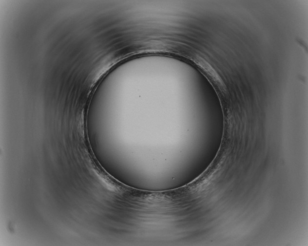 X0000097460842200803071629