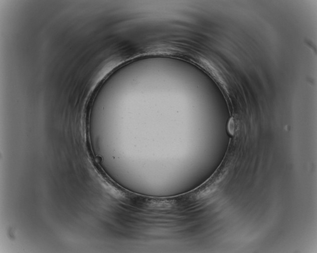 X0000097460843200803071629