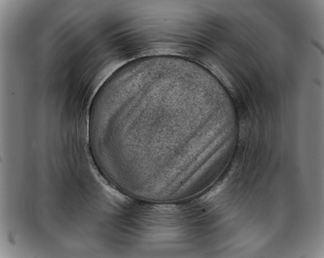 X0000097460844200803071629