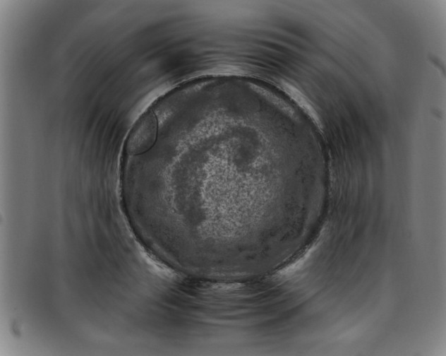 X0000097460845200803071629