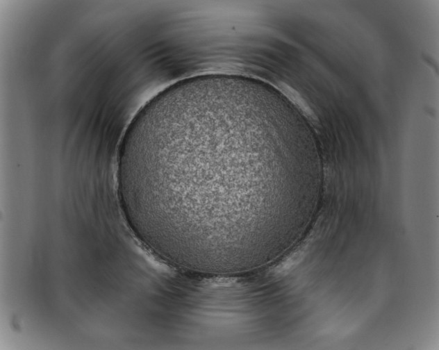 X0000097460846200803071629