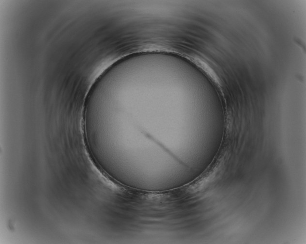 X0000097460847200803071629