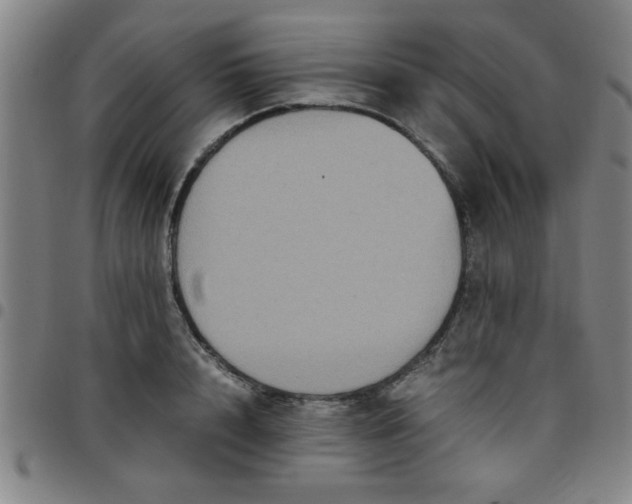 X0000097460848200803071629