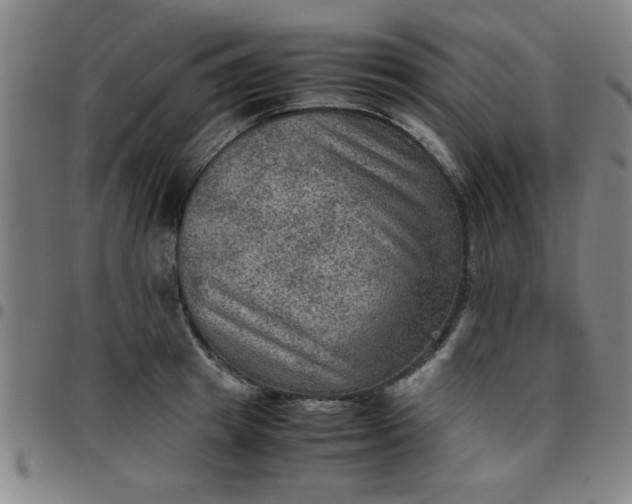 X0000097460849200803071629