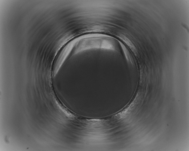 X0000097460850200803071629