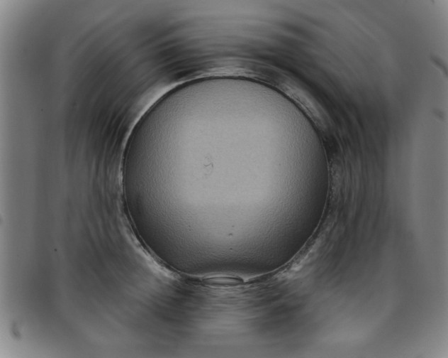 X0000097460852200803071629