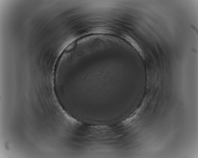 X0000097460853200803071629