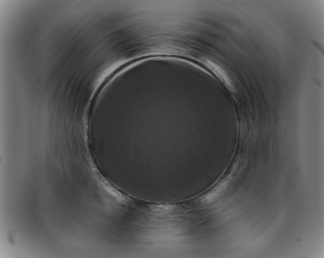 X0000097460854200803071629