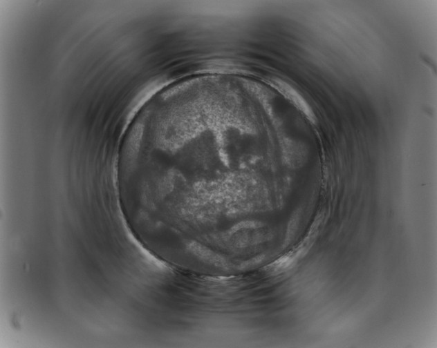 X0000097460855200803071629