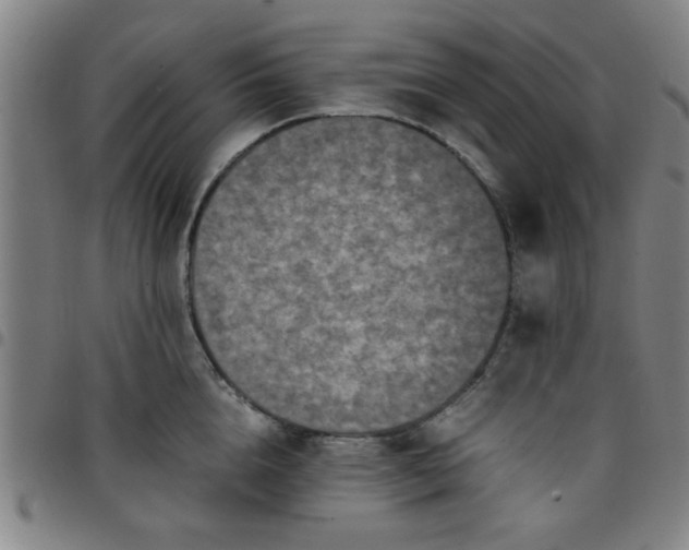 X0000097460856200803071629