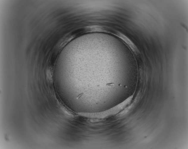 X0000097460857200803071629