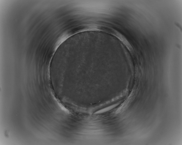 X0000097460858200803071629