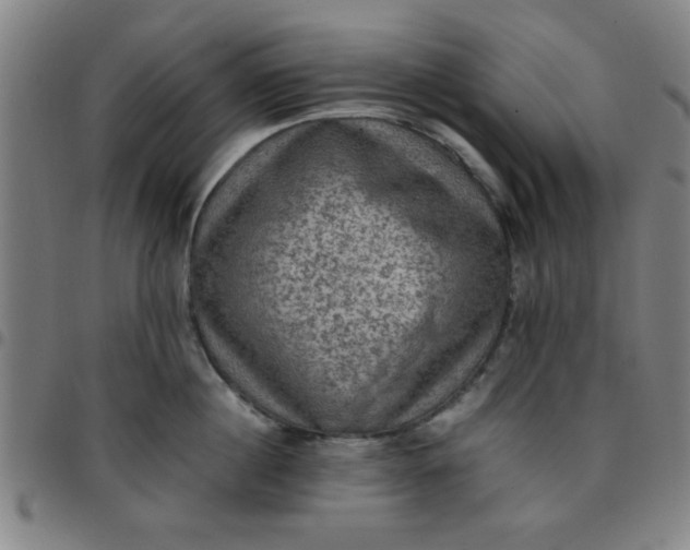 X0000097460860200803071629