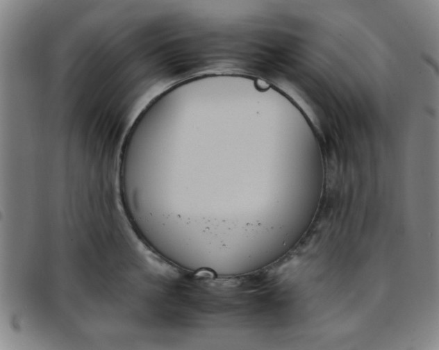 X0000097460861200803071630